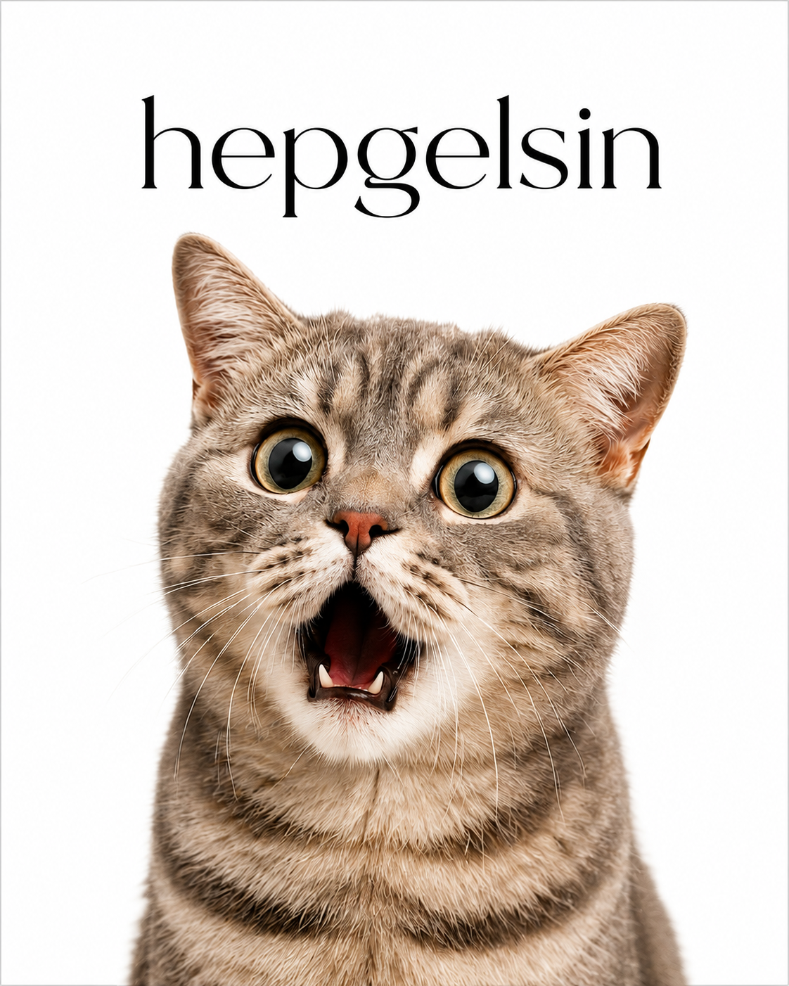 proplan kısır kedi maması